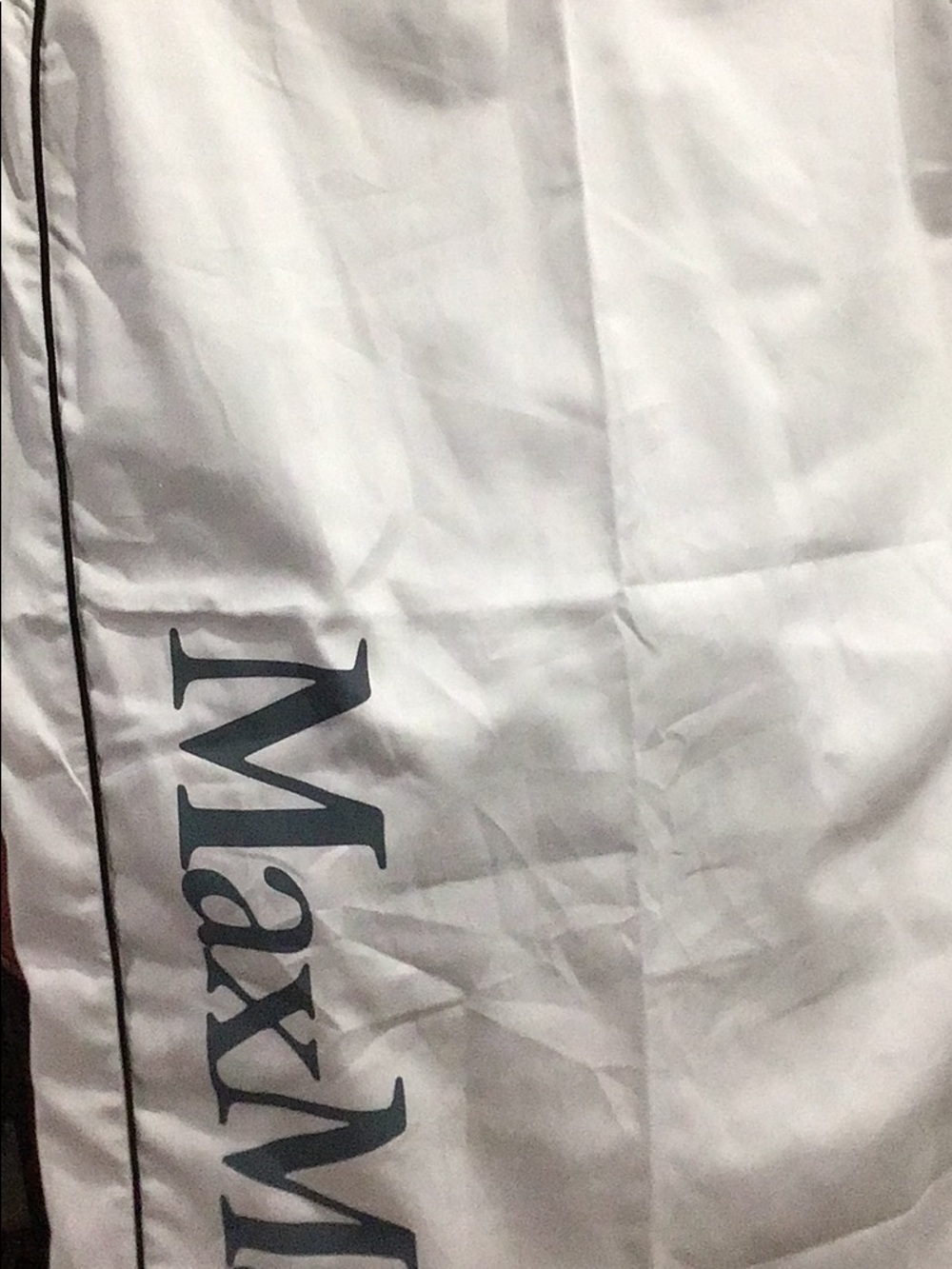 MaxMara garment bag